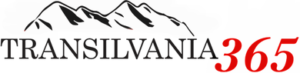 cropped-390_2logo_trans-300x73